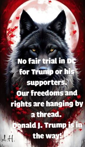 IMG_20240202_125241_01