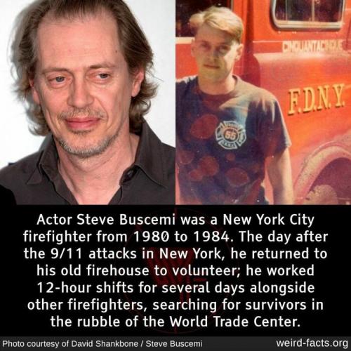 Steve Buscemi, FireFighters, 911, Hollywood, Actor, Hero -- NYC (World Trade Center)