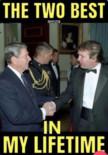 1000018231