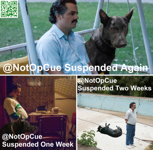 NotOpCue Banned Meme 14