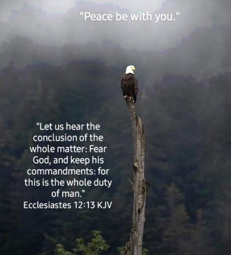 021224 - Ecc 12-13 Peace