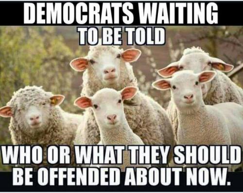 democrat-voters-995474978