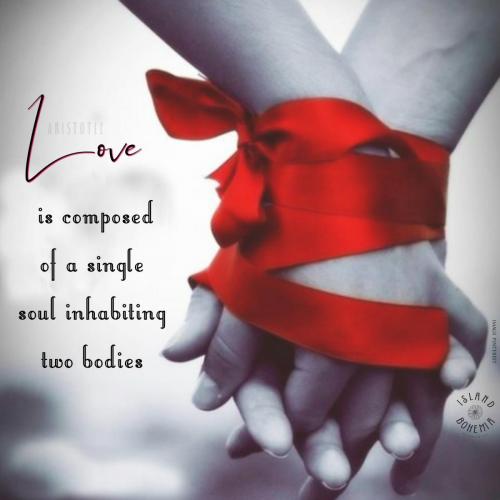 427876589_809339354563943_6356165856703489571_n