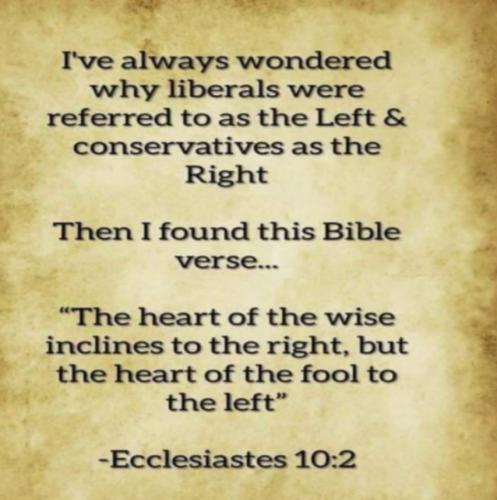 Screenshot_20240206-132157_YouTube