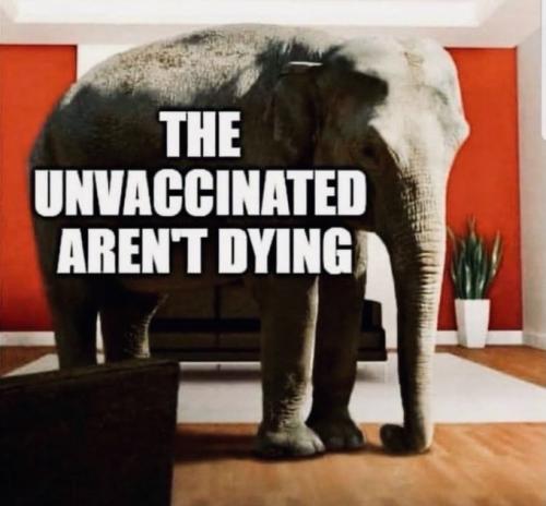 3FAAAFA4-F3D4-4FC7-805A-D5F8C328F25A