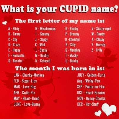 428136073_930583542069534_2571945742739457922_n