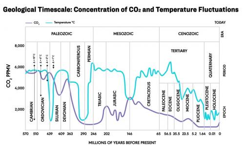 CO2 in Geological-Timescale