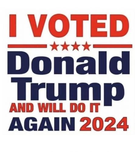 X I voted