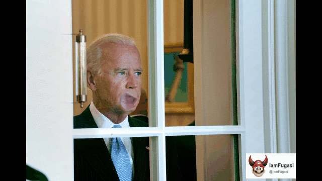 Window licker
