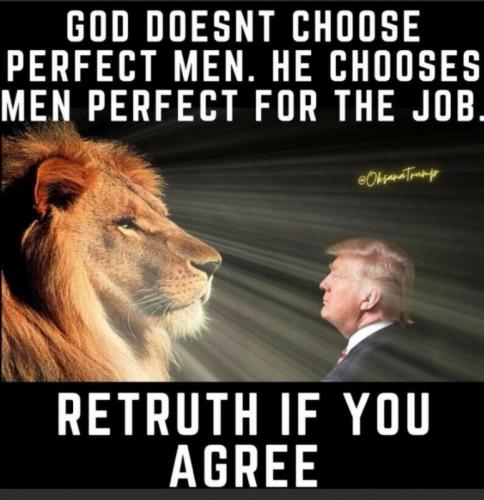M chooses men perfect