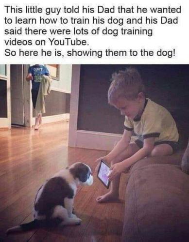 Dog, Boy, YouTube -- New Video Doggie Training