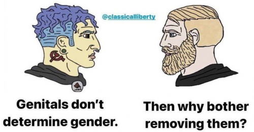 Why remove genitals if they don't determine gender?