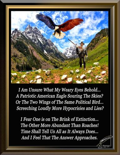 Two Wings of The Same Bird ~The American Eagle~ Remastered
