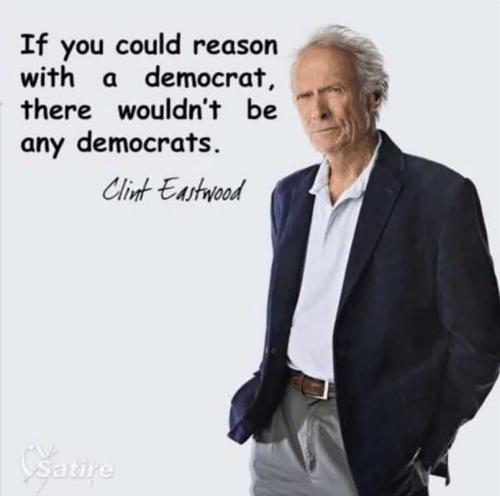 USA reason with Democrat