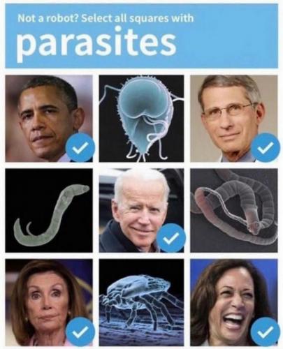 parasites