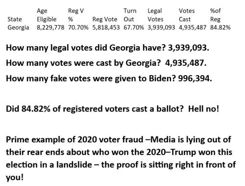 State Voterfraud Georgia