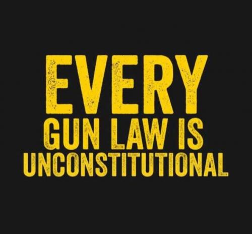 USA every gun law
