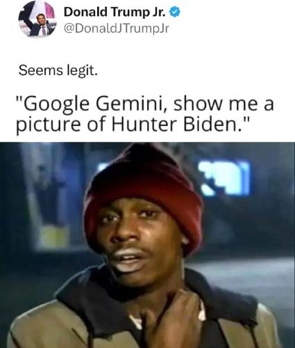 Google Gemini - Hunter Biden