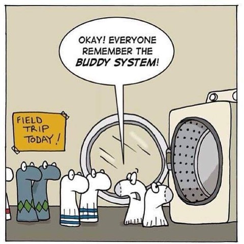 Laundry, Socks -- Buddy System