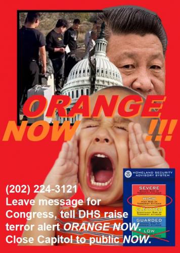 ORANGE NOW