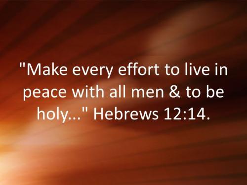 IMG_20240211_135211_130