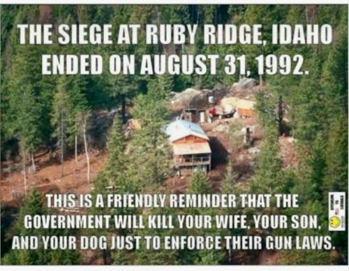 40b1b673bfa0b0f8deda29d38a440e18