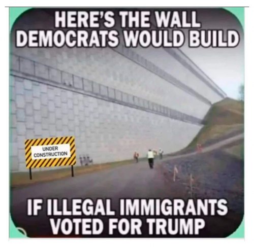 Demonrats Wall If Illegals Voted For Trump