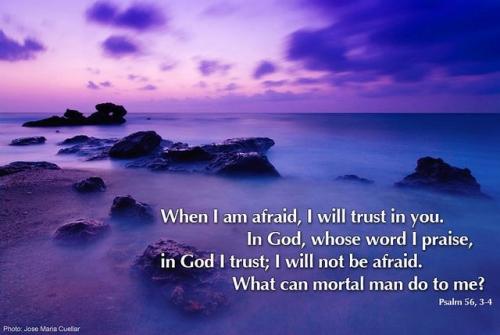 IMG_20240226_112316_637