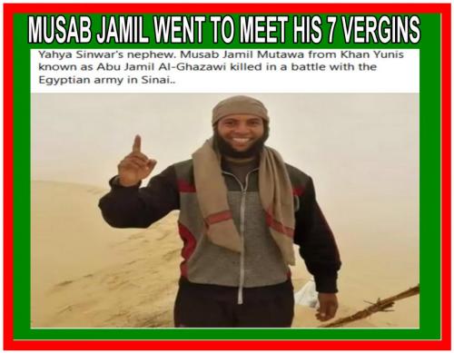 HAMAS6987