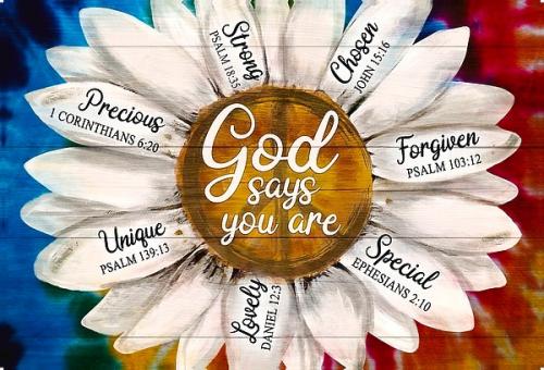 428630370_977232497098319_5904479406010638516_n