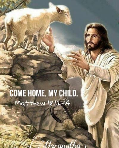 IMG_20240202_100453_775