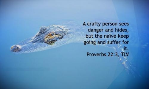 Prov 22-3