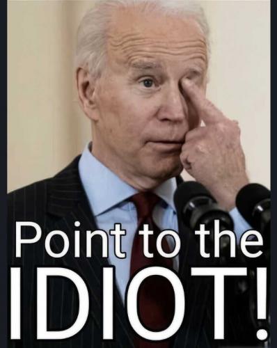 USA point to idiot