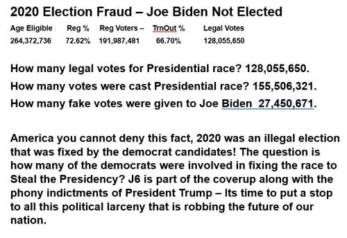 2020 election steal