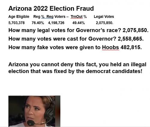 Sate Voterfraud Arizona 2022 Gov Race