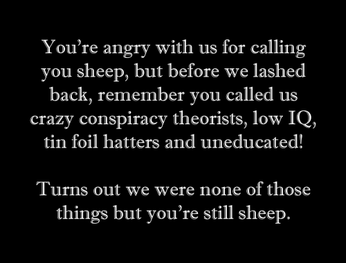 M sheep