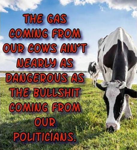 RO gas from cows