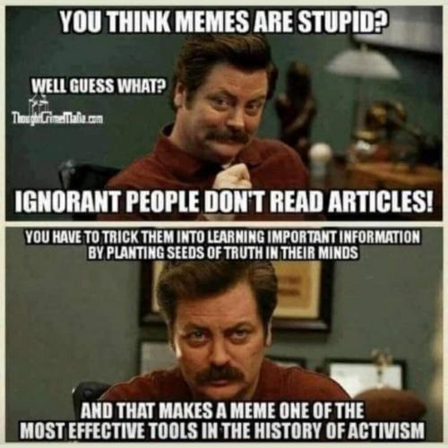 M memes