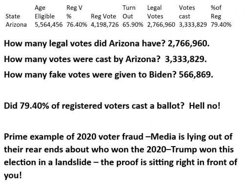 State Voterfraud Arizona