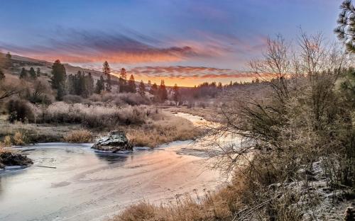 Frozen N Palouse River near Glenwood. 1-19-24 weitze