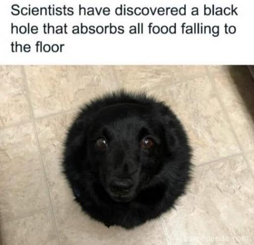 421947410_689246056688554_901114319612568596_n