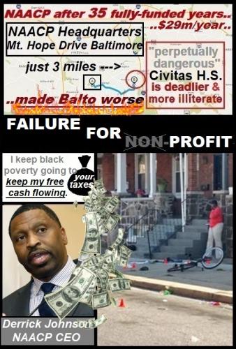 NAACP  FAILS FOR PROFIT