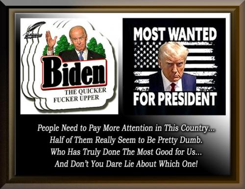 Trump or Biden