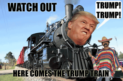 trump train