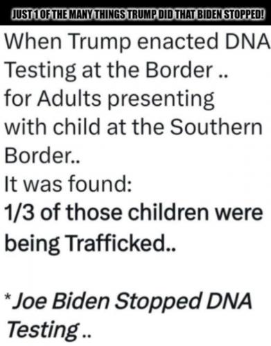 M border DNA testing