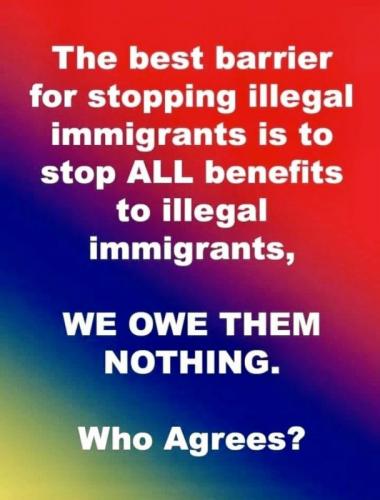 X barrier to stop illegal immigrants