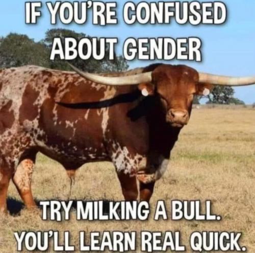 X Gender confused