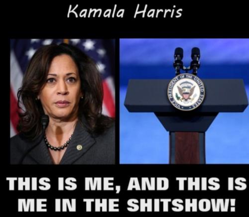 Screenshot_20240219-112404_Gallery