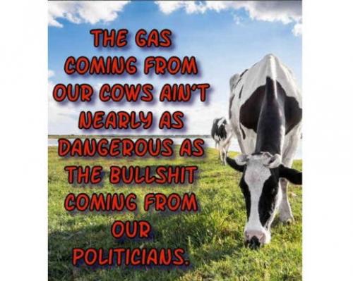 Cow, Global Warming, BS, Politicians, Liberals, Democrats -- Gas