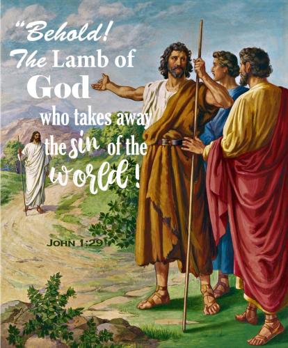 IMG_20240219_084252_716